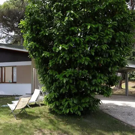 Charming With Garden And Bbq, 200m To Sea 利尼亚诺萨比亚多罗
